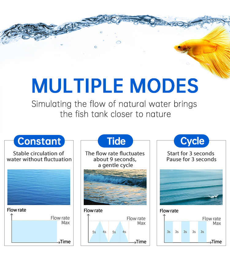 WEEK AQUA Intelligent Stainless Filter