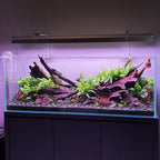 WEEKAQUA L Series Light Shades - Black