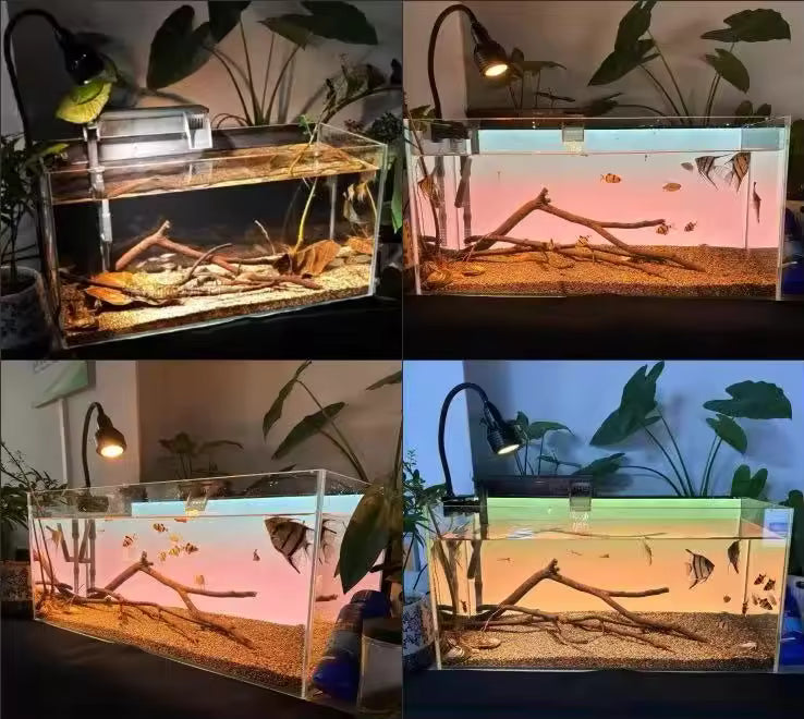 LED Backlit Panel