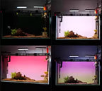 LED Backlit Panel