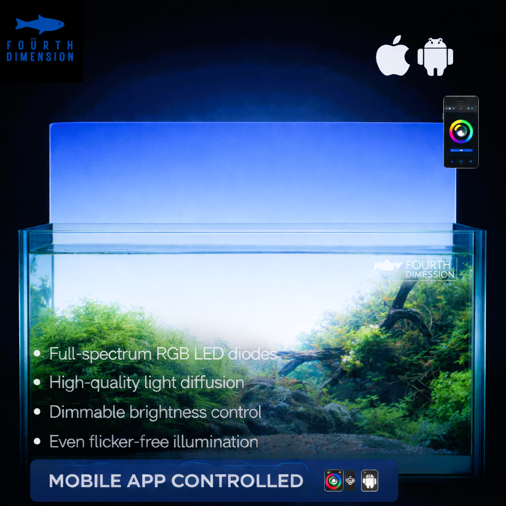LED Backlit Panel